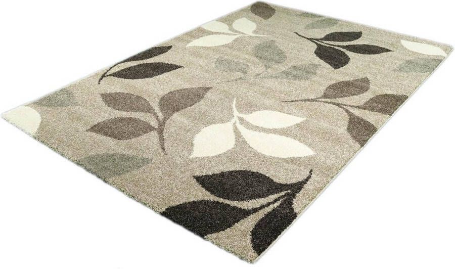 Merinos Vloerkleed Casa 850-70 Beige 120x170 cm - Foto 2