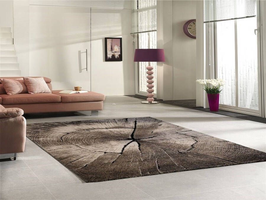 Merinos Vloerkleed Ibiza 605 Woonkamer boomstammotief hout-look - Foto 2