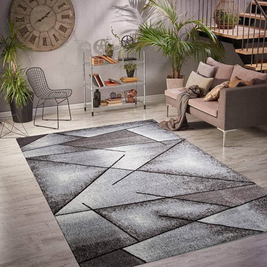 Merk los Tapijt geweven tapijt voor woonkamer hal slaapkamer grijs modern geometrisch design Öko-Tex 100 afmetingen 120 x 170 cm 30161 grijs 120170