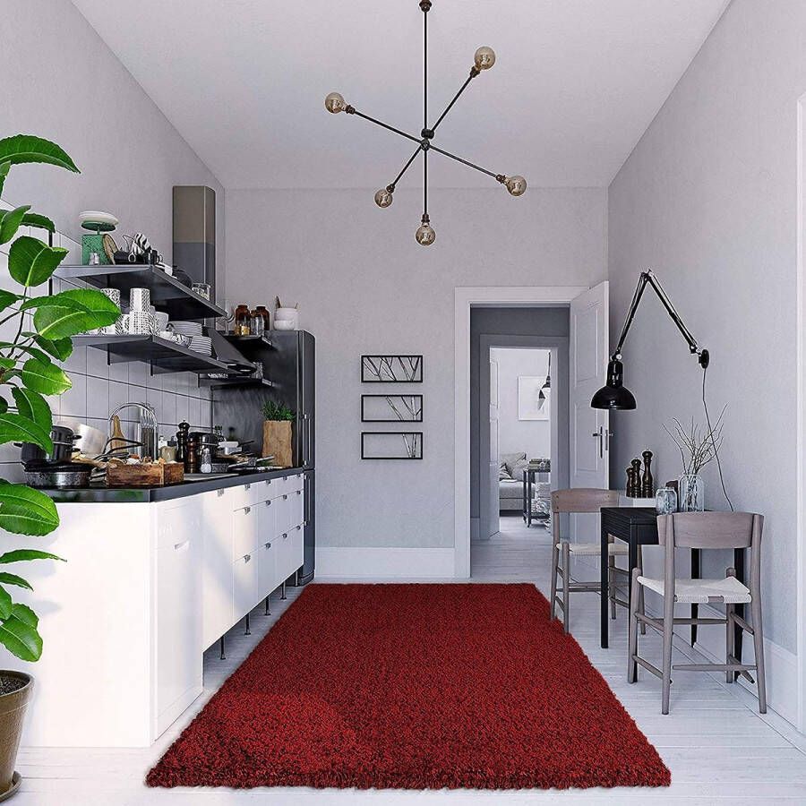 Merk los tapijt woonkamer rood hoogpolig langpolig modern afmetingen: 120 x 170 cm