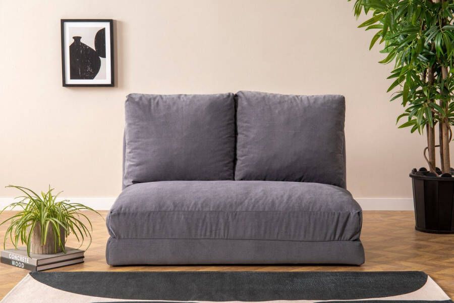Merkloos Asir bankbed slaapbank Sofa 2-zitplaatsen Grijs 120 x 68 x 62 cm