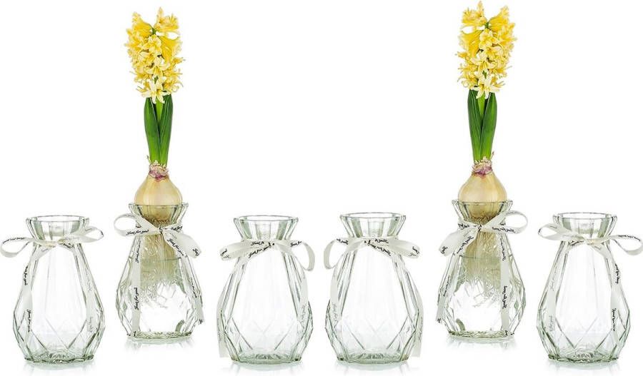 Merkloos Duidelijke glazen vazen voor bloemen met zijden touw 6 stuks moderne hyacint vazen Bud avocado vaas edelwickenvaas voor hydrocultuur planten narcissen orchideeën voor desktop tafel binnenvensterbank decoratie