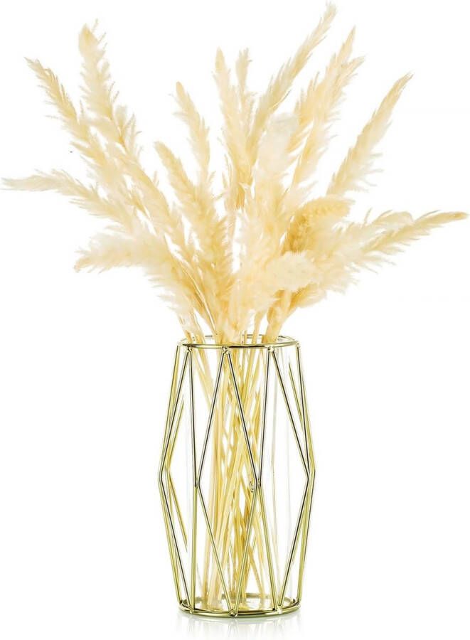 merkloos Glazen bloemenvaas goud moderne kleine vazen voor pampasgras met geometrisch metalen rek voor kunstbloemen hydrocultuur woonkamer eettafel decoratie bruiloft centraal bloemstuk