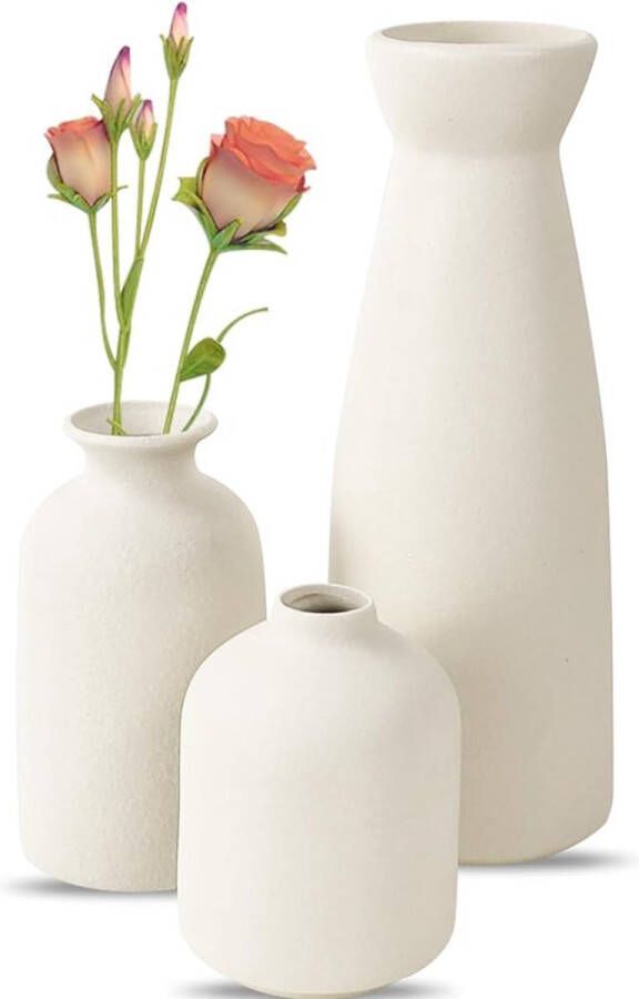 'merkloos'' Witte keramische vazen set van 3 kleine bloemenvazen voor decoratie moderne rustieke woondecoratie op de boerderij decoratieve vazen voor pampagras en gedroogde bloemen ideeënplank tafel boekenplank schoorsteenmantel ingang -noodlijdend decor