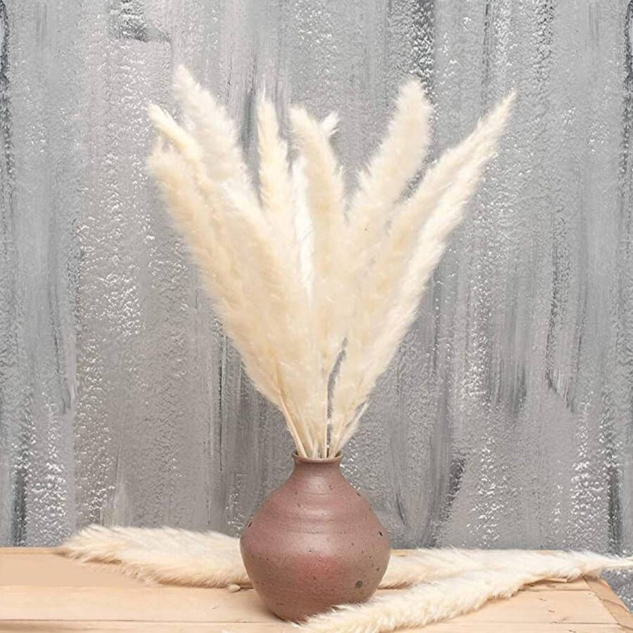 Merklose 30Pcs Natuurlijke Gedroogde Pampas Gras 43 CM Gedroogde Bloem Riet Boeket Boho Decoratie voor Thuis Woonkamer Slaapkamer Keuken Bruiloft Arrangement DIY Party Kantoor Vaas Tafel Fotograp Decor (Wit)