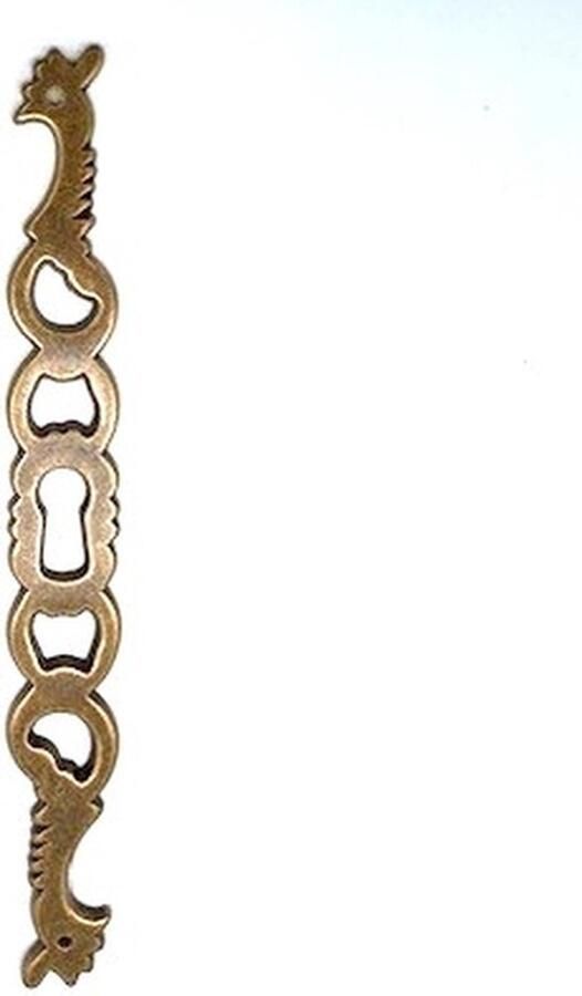 Metal Style Sleutelplaat Messing Antiek verticaal Groot 18x149mm
