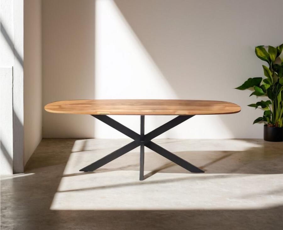 Meubelplaats Eettafel Colorado Deens ovaal mangohout 200x100 cm - Foto 2