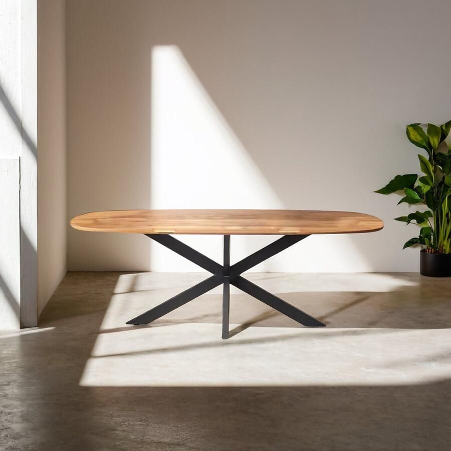 Meubelplaats Eettafel Colorado Deens ovaal mangohout 220x100x77 cm metalen matrix naturel