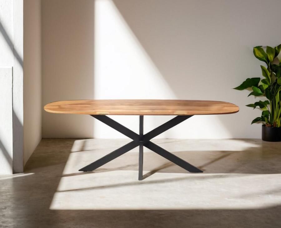 Meubelplaats Eettafel Colorado Deens ovaal mangohout 260x110 cm - Foto 2