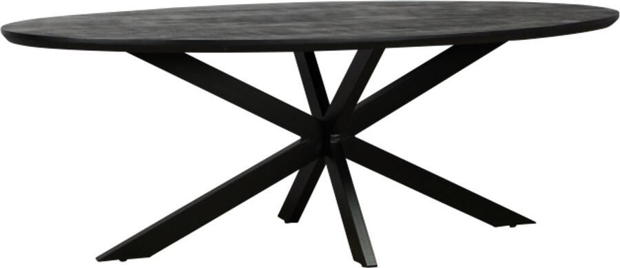 Meubelplaats Eettafel Colorado ovaal mangohout 160x90 cm Zwart
