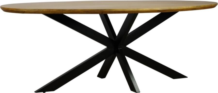 Meubelplaats Eettafel Colorado ovaal mangohout 180x100 cm
