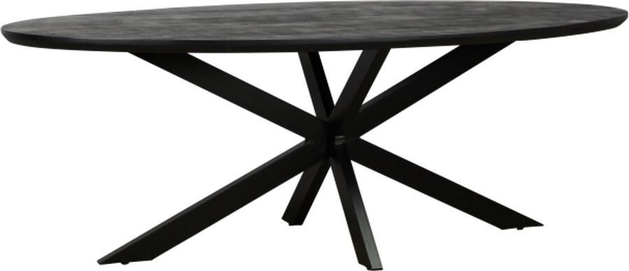 Meubelplaats Eettafel Colorado ovaal mangohout 180x100 cm Zwart