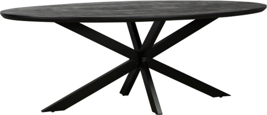 Meubelplaats Eettafel Colorado ovaal mangohout 200x100 cm Zwart