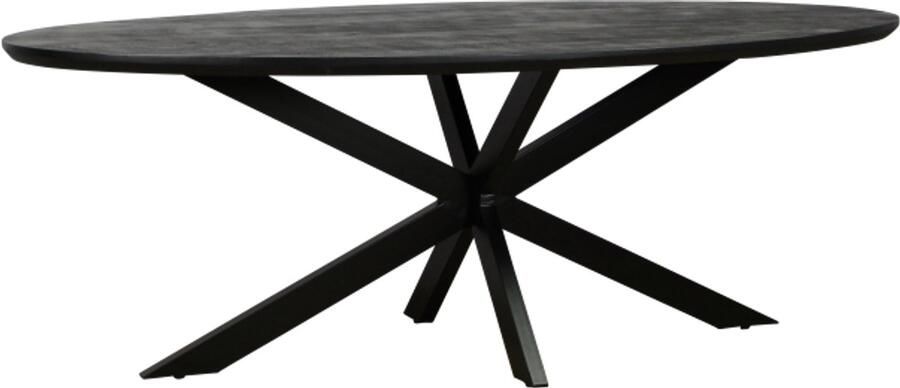 Meubelplaats Eettafel Colorado ovaal mangohout 220x110 cm Zwart