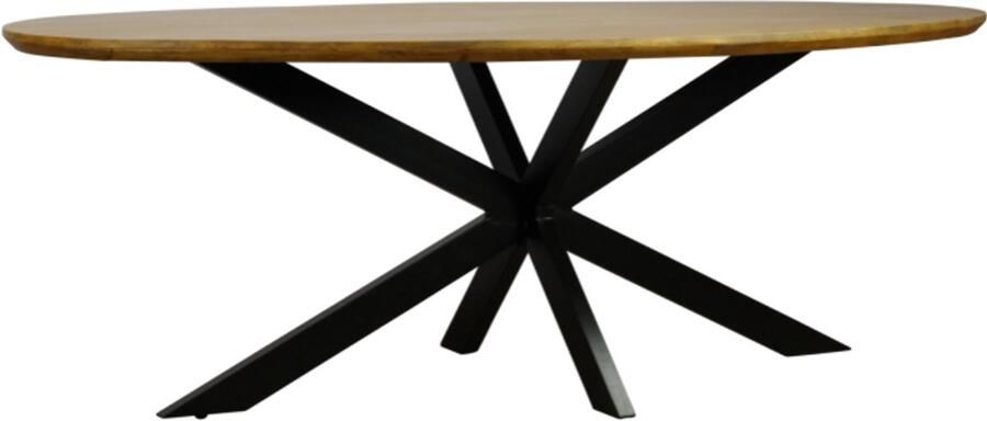 Meubelplaats Eettafel Colorado ovaal mangohout 260x110 cm