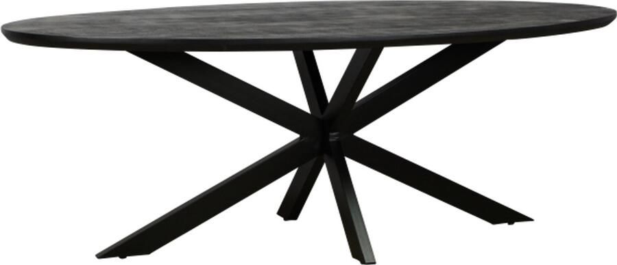 Meubelplaats Eettafel Colorado Deens ovaal mangohout 260x110 cm zwart