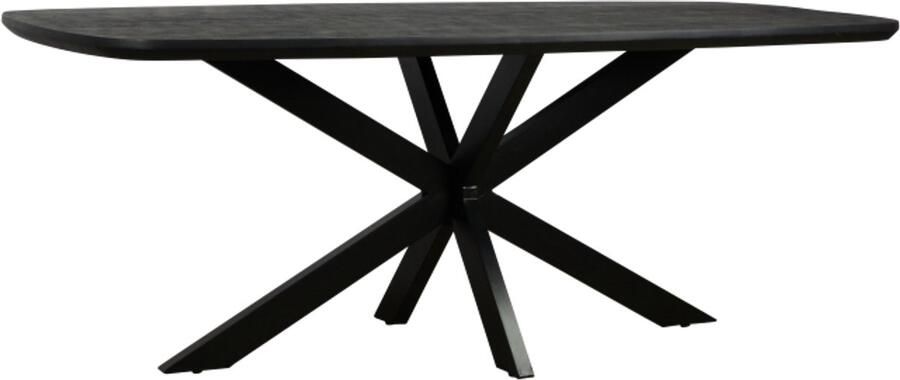 Meubelplaats Eettafel Colorado Deens ovaal mangohout 260x110 cm zwart - Foto 2