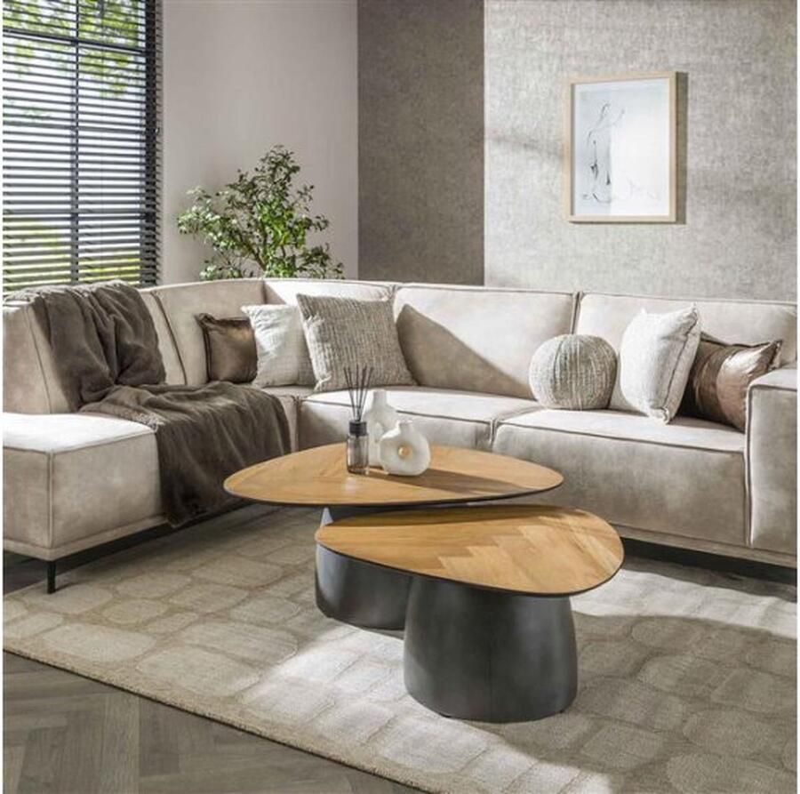 Meubelplaats Salontafel set 2 infinite Gerecycled teakhout fineer