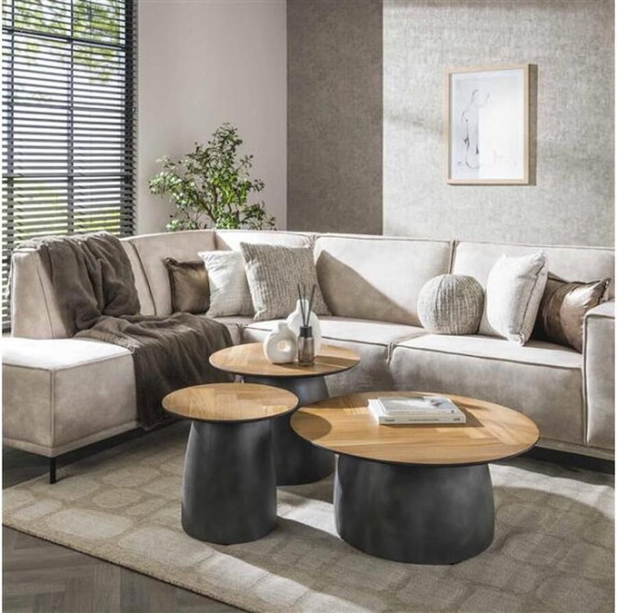 Meubelplaats Salontafel set 3 infinite Gerecycled teakhout fineer