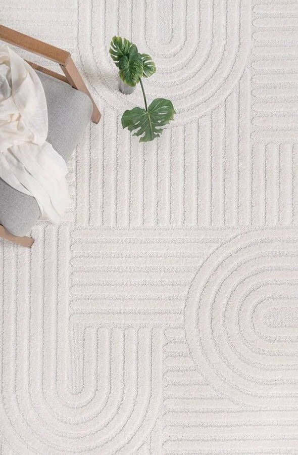 Mila Home Luxe Top Quality Shaggy Hoogpolig Vloerkleed Wit Modern Ontwerp Elit Bukle Model Effen Tapijt Carpet 160x230 cm