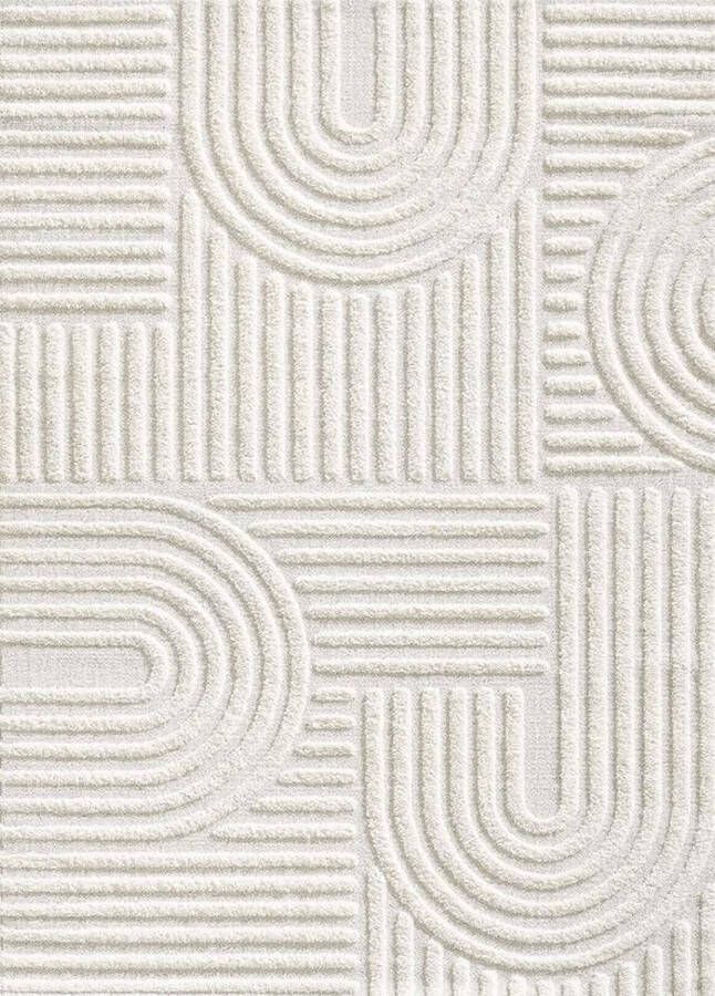 Mila Home Shaggy Hoogpolig Vloerkleed Wit Modern Ontwerp Elit Bukle Model Effen Tapijt Carpet 120x170 cm