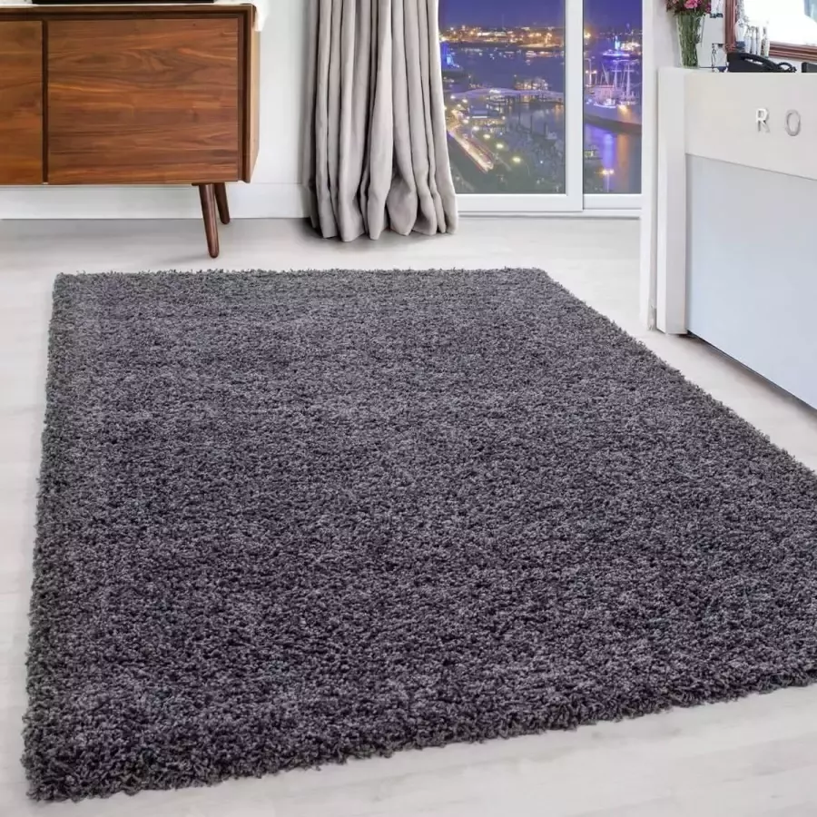 Modica Tappeto Hoogpolige Vloerkleed Plus Shaggy Grijs 120 X 170 Cm
