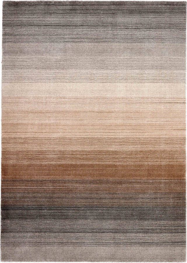 MOMO Rugs Panorama Naturel Multi Vloerkleed 300x400 Rechthoek Laagpolig Tapijt Industrieel Beige Bruin Zwart - Foto 3