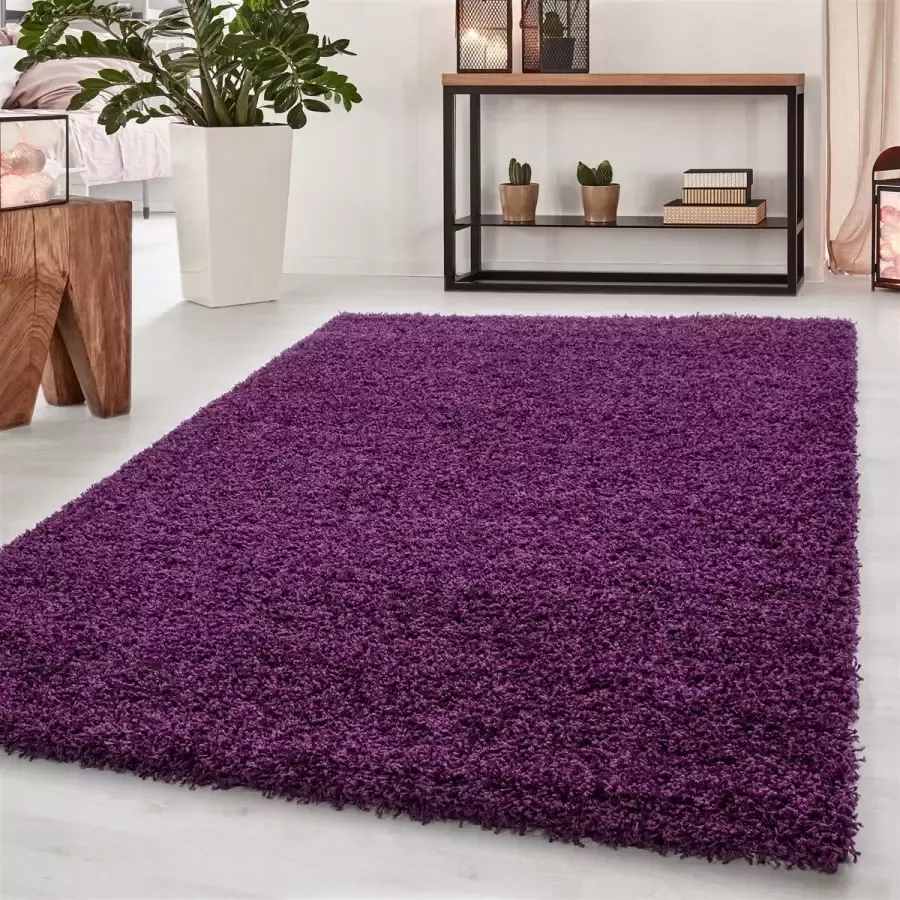 Morhane Dream Shaggy vloerkleed hoogpolig rechthoek 120x170cm lila
