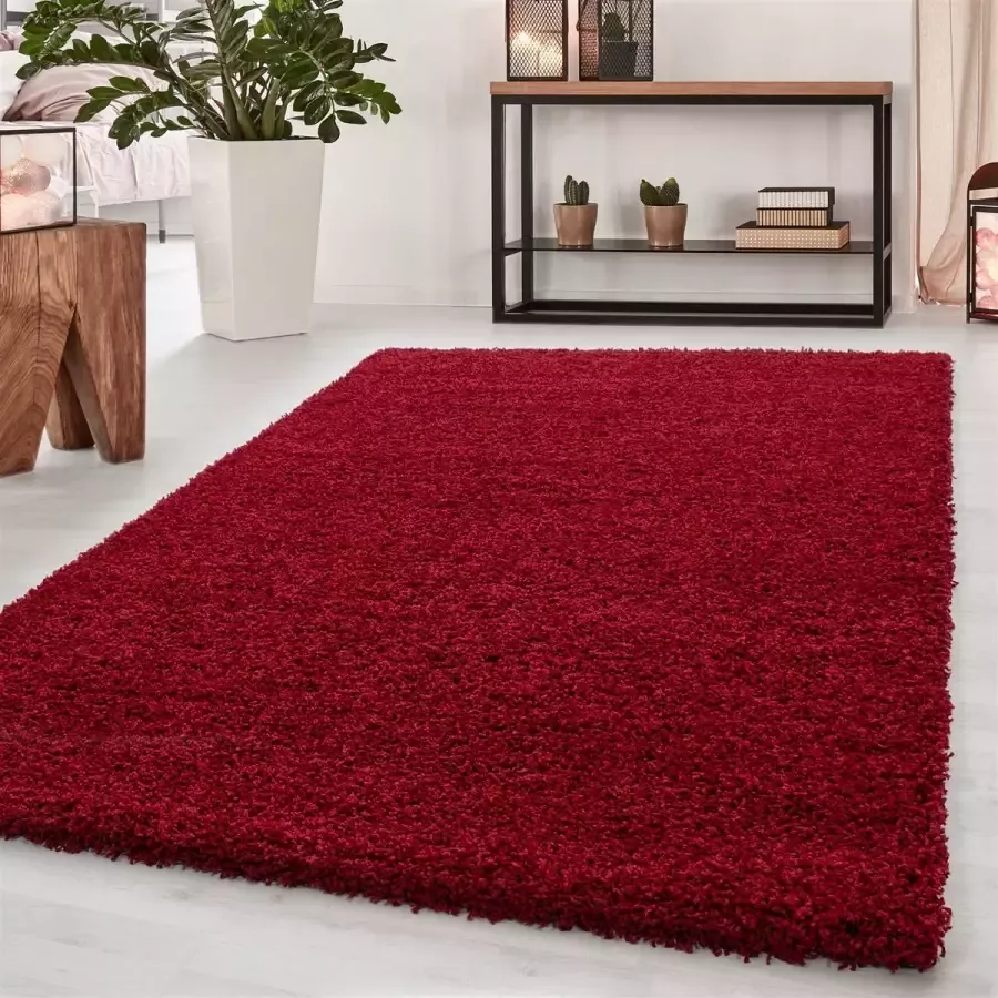 Morhane Dream Shaggy vloerkleed hoogpolig rechthoek 200x290cm rood