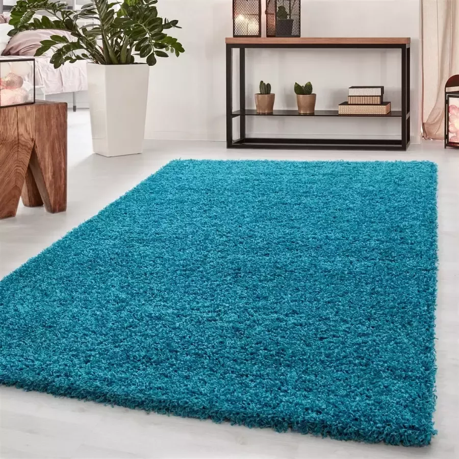 Morhane Dream Shaggy vloerkleed hoogpolig rechthoek 200x290cm turquoise