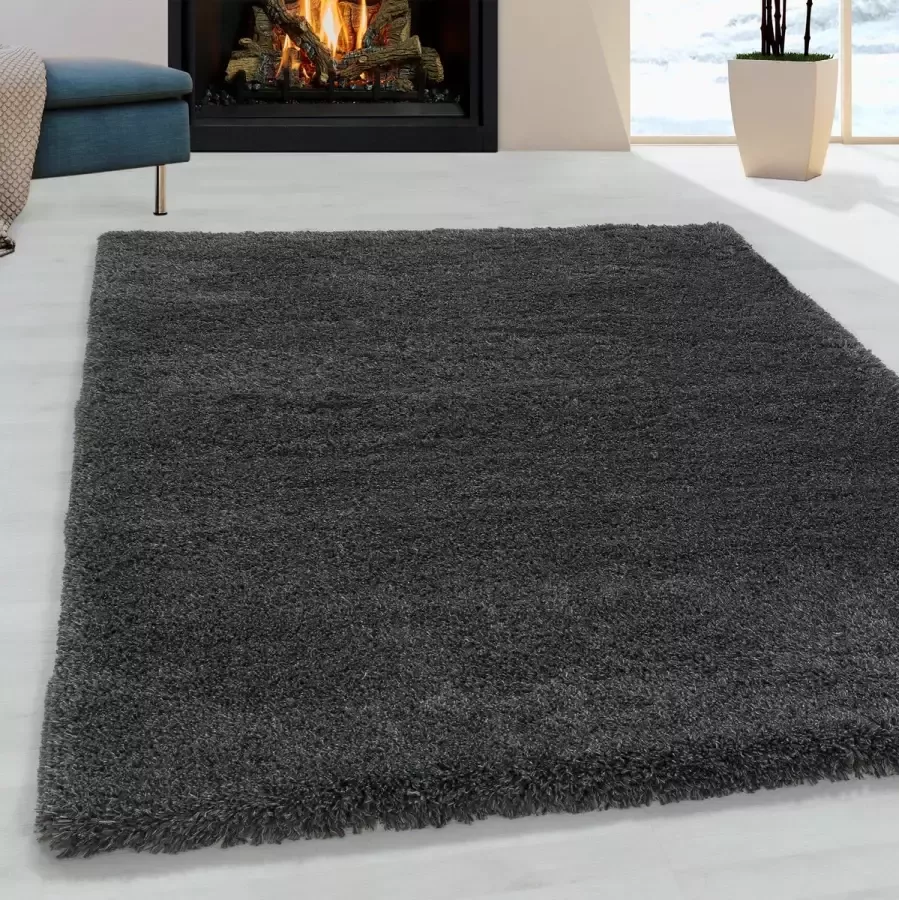Morhane Fluffy Shaggy vloerkleed hoogpolig rechthoek 240x340cm grijs