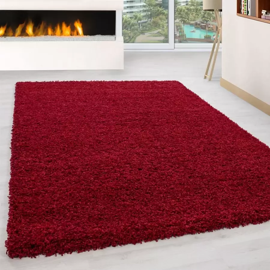 Morhane Life Shaggy vloerkleed hoogpolig rechthoek 240x340cm rood