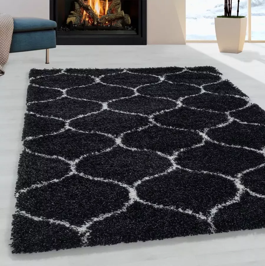 Morhane Salsa Shaggy vloerkleed hoogpolig rechthoek 160x230cm antraciet