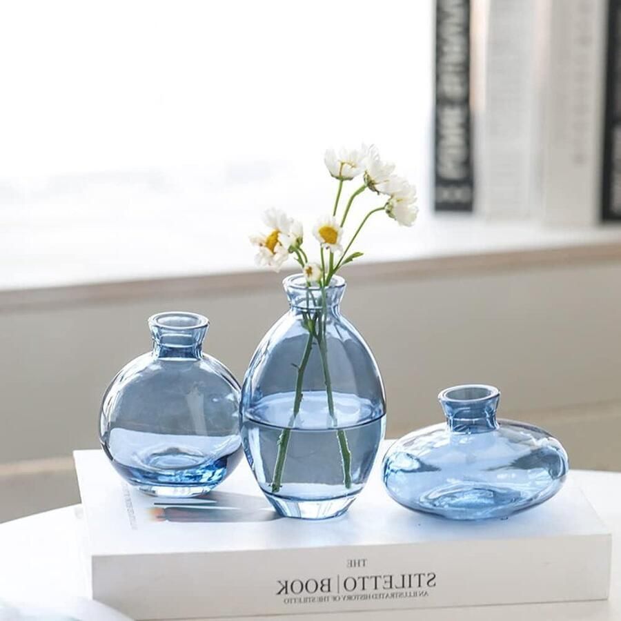 Mrs. Jones 3 stuks blauwe kleine glazen vazen bloemendecoratie hydrocultuur vaas salontafel woonkamer kantoor