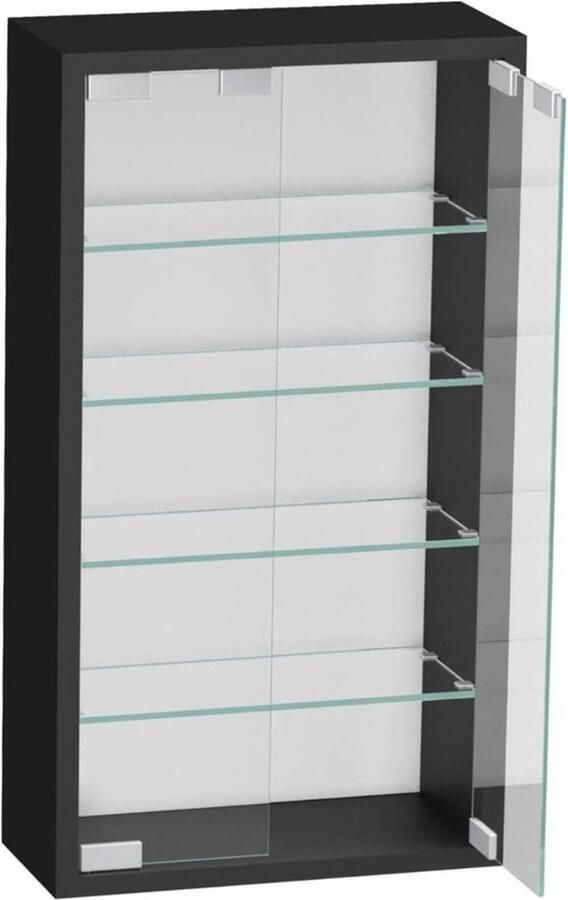 Mrs. Jones DD Vitrinekast Hangend Glazen Vitrinekast Wandvitrine 30x60x13cm Zwart
