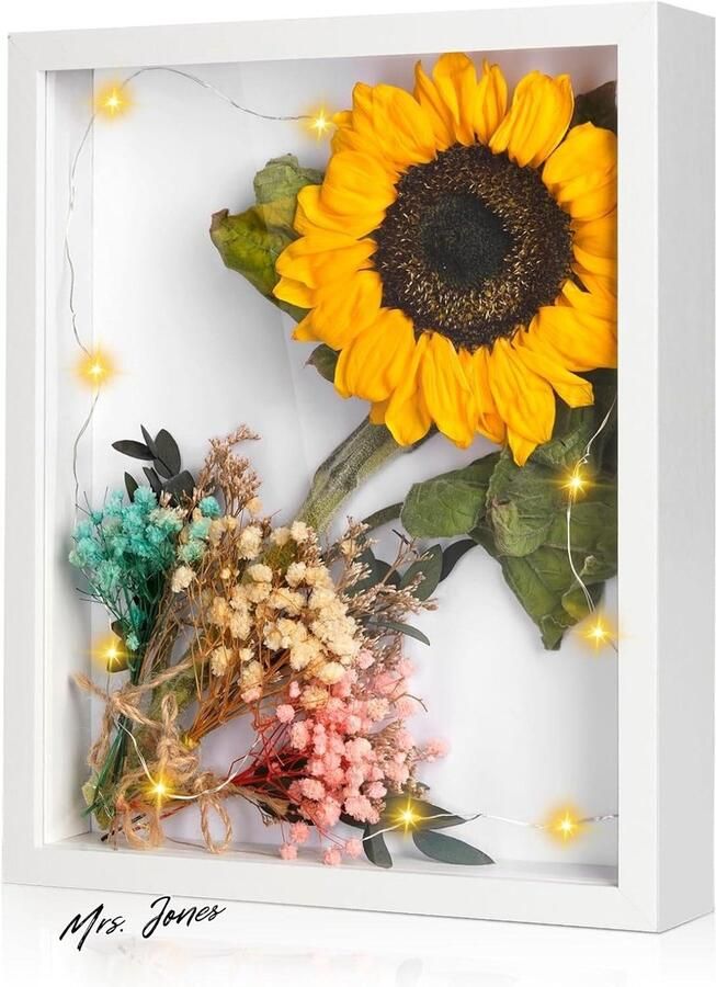 Mrs. Jones Fotolijst om te vullen 25 x 20 cm diepe lijst voor objecten tot 3 cm wit decoratie muur bureau huwelijkscadeau kunstwerken met led-lichtketting