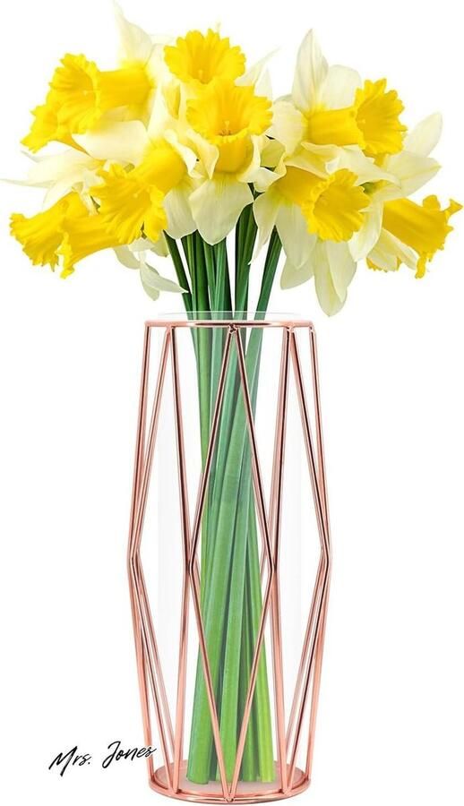 Mrs. Jones Glasgouden vaas hoge bodem pampasgras geometrische metalen standaard knoopbloempot Scandinavische decoratie bureau kantoor bruiloft middenstuk 27 cm hoog