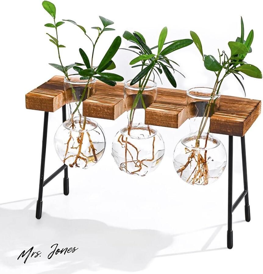 Mrs. Jones Reageerbuis Vaas Hydrocultuur hangvaas bloemenvaas tafelvaas luchtplanten terrarium bureau decoratieve met houten houder glas plant voor kantoor huis tuin decoratie 3 vazen