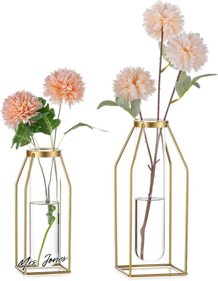 Mrs. Jones Metalen Draad Bloemenvaas Gouden Frame Vaas met Glazen Proefbuisjes 195 245cm Moderne Knopvaas voor Salontafel Woonkamer Abstracte Geometrische Kunstvaas voor Roos Hydroponische Plant Decoratie Vaas Moderne Stijlvolle