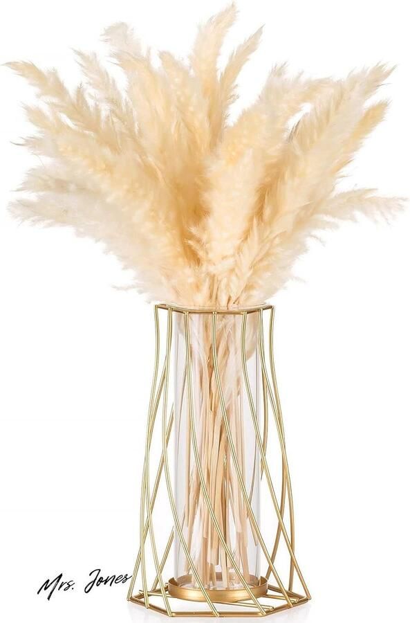 Mrs. Jones Metalen Draad Glazen Vaas Voor Bloem Moderne Gouden Bloemenvaas Voor Pampasgras Geometrische Tulpenvaas Voor Tafel Decoratieve Knopvaas Voor Woonkamer Eetkamer Slaapkamer Bruiloft Middelpunt