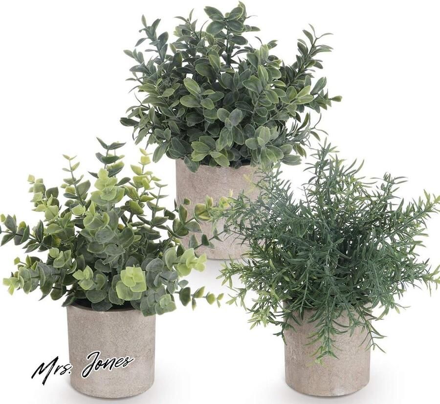 Mrs. Jones Set van 3 Mini Artificiële Pot Planten Kunstplanten Plastic Eucalyptus Planten Faux Rozemarijn Planten voor Thuis Tuin Bureau Douche Kamer Binnen & Buiten Huis Decor