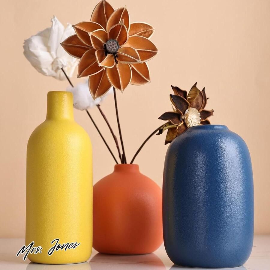 Mrs. Jones Vaas Set van 3 Kleine Bloemenvazen voor Rustieke Woondecoratie Moderne Boerderijdecoratie Woonkamerdecoratie Plankdecoratie Tafel Boekenplank Schoorsteenmantel en Ingangsdecoratie