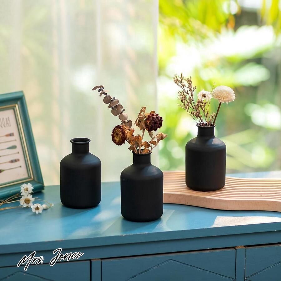 Mrs. Jones Zwarte Mini Vaasje Set van 3 Decoratieve Cilinder Vaasje voor Gedroogde Bloemen Moderne Vaas voor Woonkamer Eettafel Keuken Badkamer Sziqiqi Vaasjes Koffie Decoratie