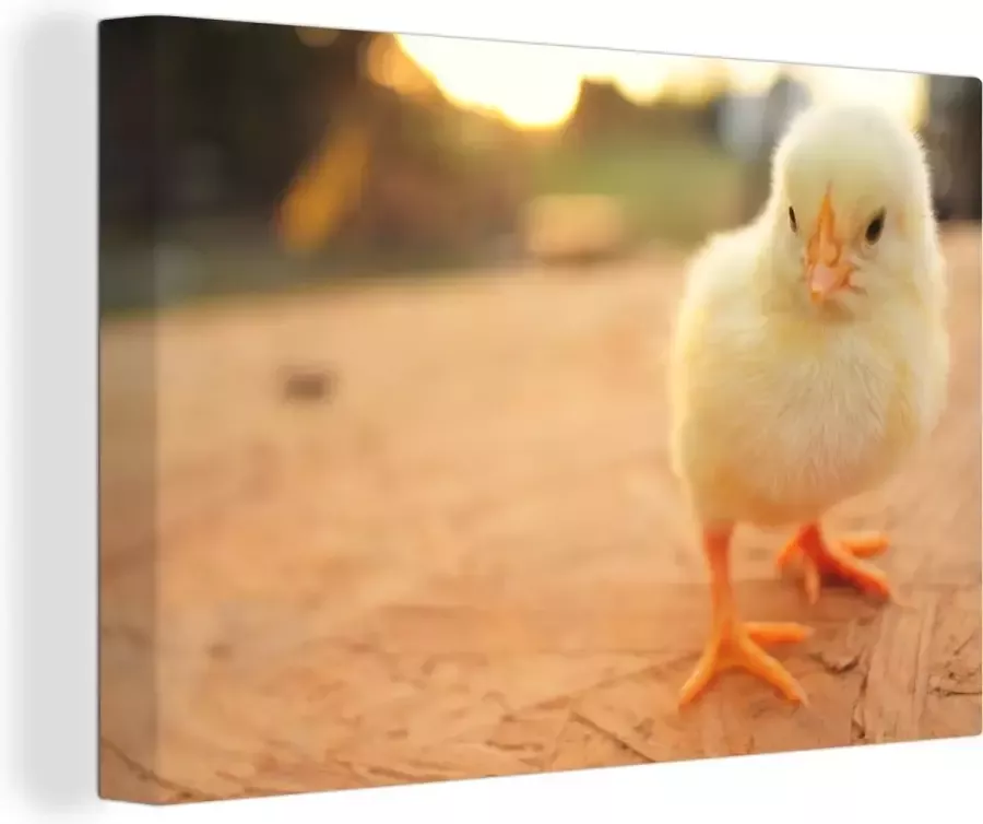 MuchoWow Canvas Schilderij Baby kuiken op een houten tafel 60x40 cm Wanddecoratie