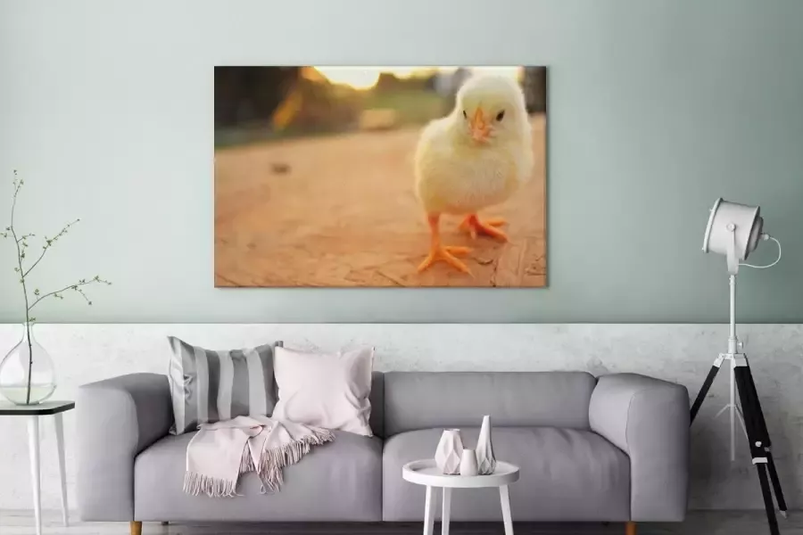 MuchoWow Canvas Schilderij Baby kuiken op een houten tafel 180x120 cm Wanddecoratie XXL