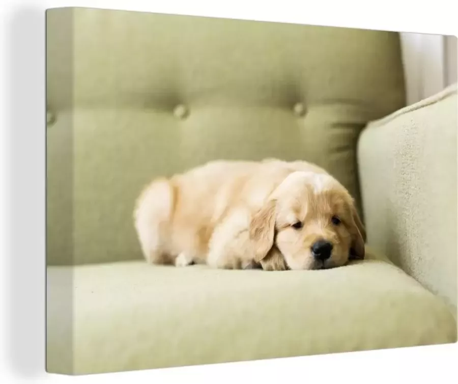 MuchoWow Canvas Schilderij Een slapende Golden Retriever puppy op de bank 120x80 cm Wanddecoratie