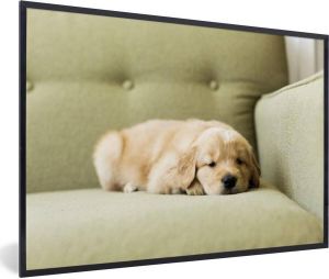 MuchoWow Fotolijst incl. Poster Een slapende Golden Retriever puppy op de bank 60x40 cm Posterlijst