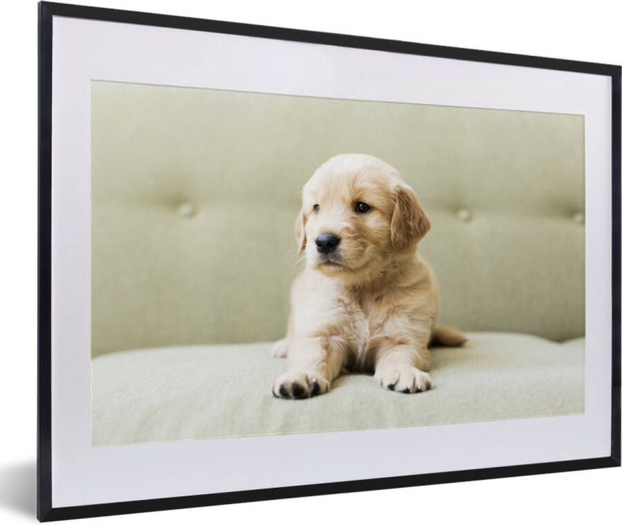 MuchoWow Fotolijst incl. Poster Golden Retriever puppy liggend op de bank 60x40 cm Posterlijst