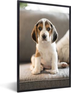 MuchoWow Fotolijst incl. Poster Schattige Beagle puppy zit op de bank 40x60 cm Posterlijst