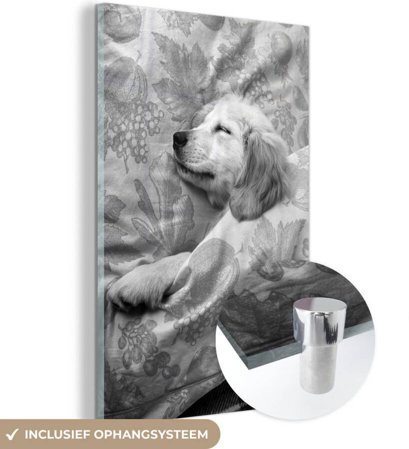 MuchoWow Glasschilderij 100x150 cm Schilderij acrylglas Golden retriever pup ligt op bed zwart wit Foto op glas Schilderijen
